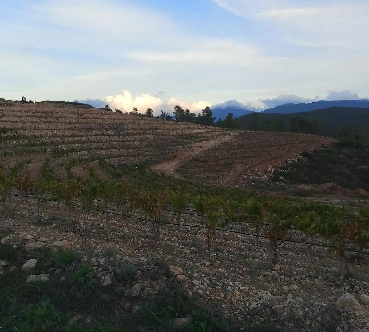 Camins Del Priorat : Ermita Pinyeres Apartment El Masroig 0*,